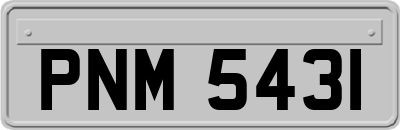 PNM5431