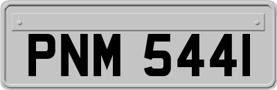 PNM5441