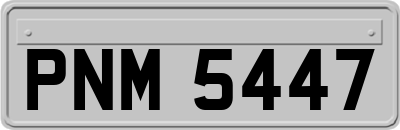 PNM5447