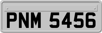 PNM5456