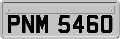 PNM5460