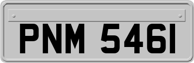 PNM5461