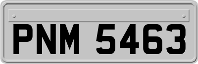 PNM5463