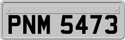 PNM5473
