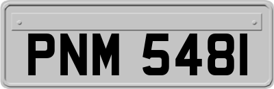 PNM5481