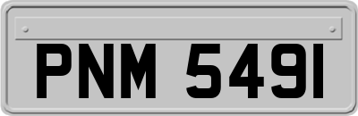 PNM5491