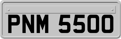 PNM5500