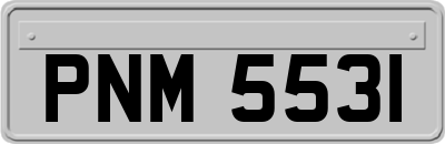 PNM5531