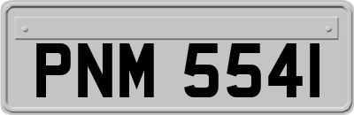 PNM5541