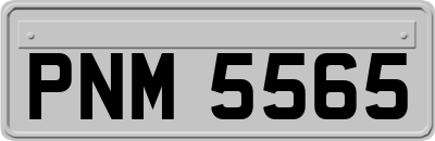 PNM5565