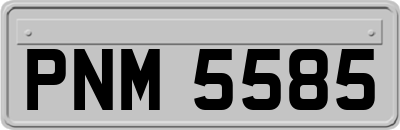 PNM5585