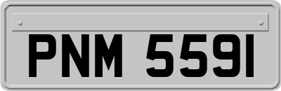 PNM5591