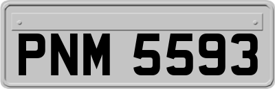 PNM5593