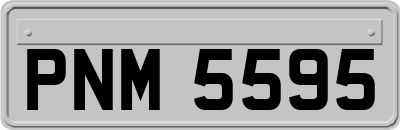 PNM5595