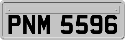 PNM5596