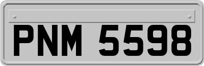 PNM5598