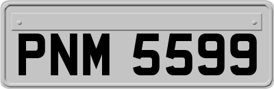PNM5599