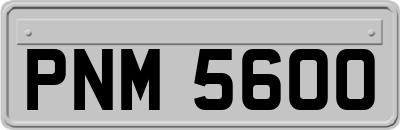 PNM5600