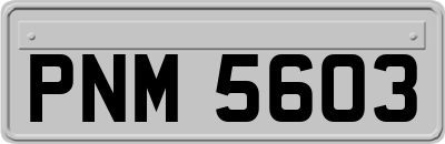 PNM5603