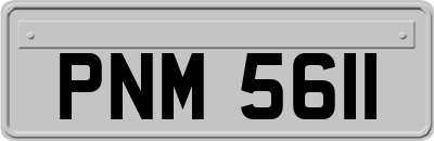 PNM5611