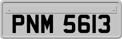 PNM5613