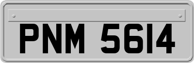 PNM5614