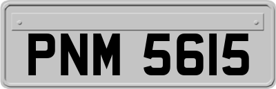 PNM5615