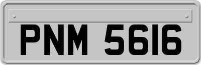 PNM5616