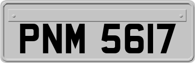 PNM5617