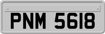 PNM5618