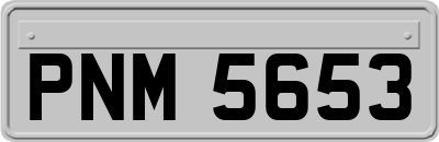 PNM5653