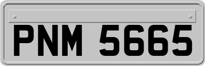 PNM5665