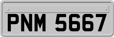 PNM5667