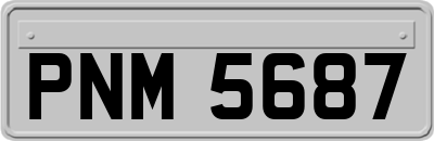 PNM5687