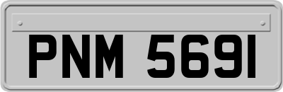 PNM5691