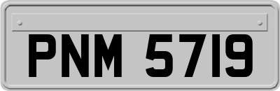 PNM5719