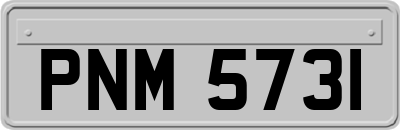 PNM5731