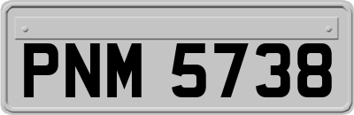 PNM5738