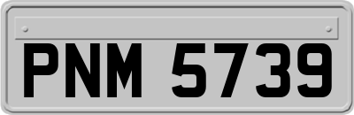 PNM5739