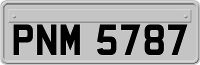 PNM5787
