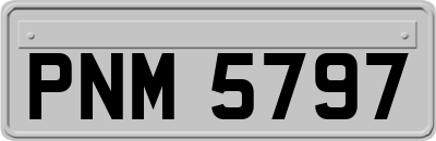PNM5797