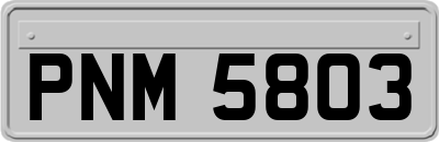 PNM5803