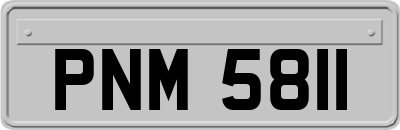 PNM5811