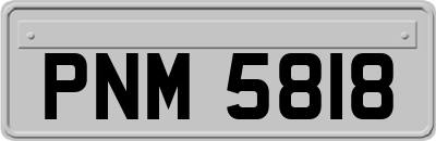 PNM5818