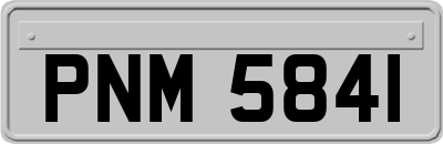 PNM5841