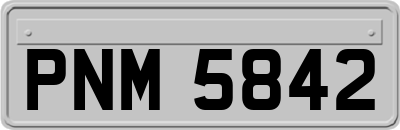 PNM5842
