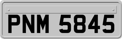 PNM5845