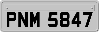 PNM5847