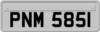 PNM5851