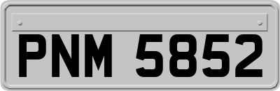 PNM5852